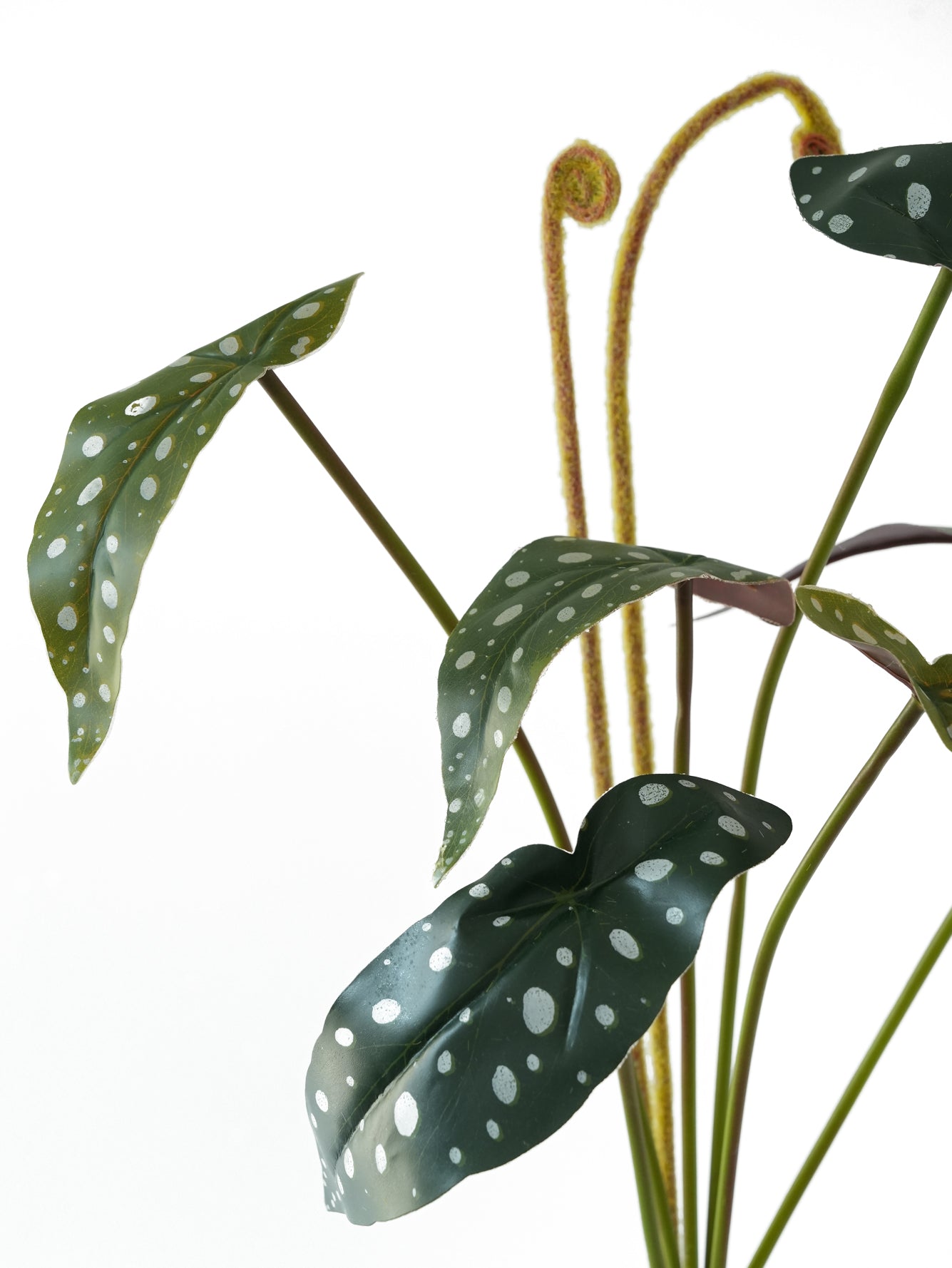 Fake Polka Dot Begonia Artificial Trout Begonia -21.2"