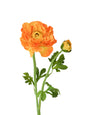 Faux Ranunculus Flower -20.8"