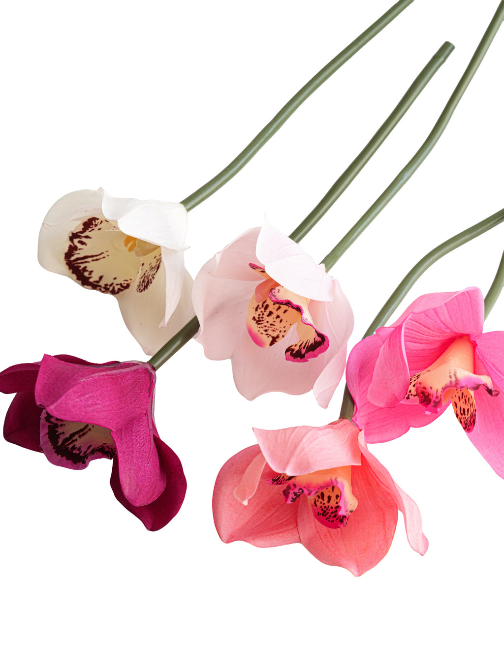 Luxurious artificial Cymbidium pumilum flowers- 10.2"