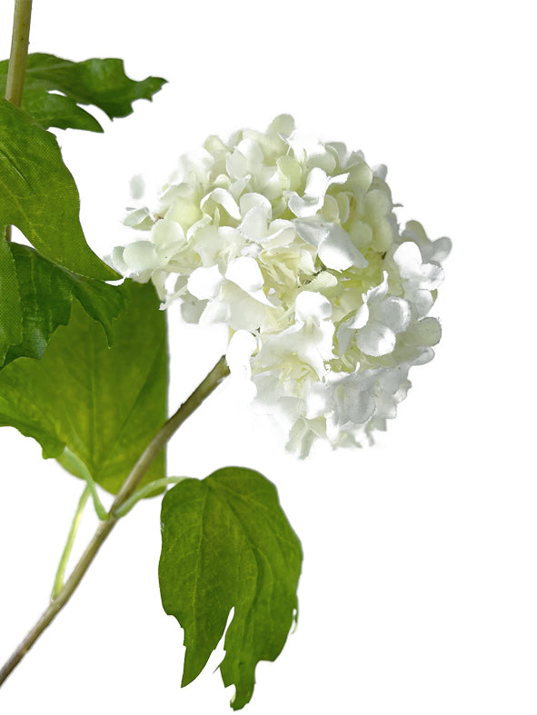 Artificial simulated Viburnum macrocephalum flowers-27.5 "