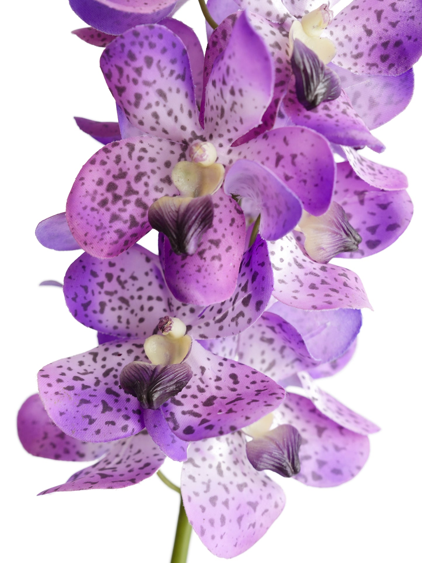 Artificial Vanda with lifelike touch -27.5"