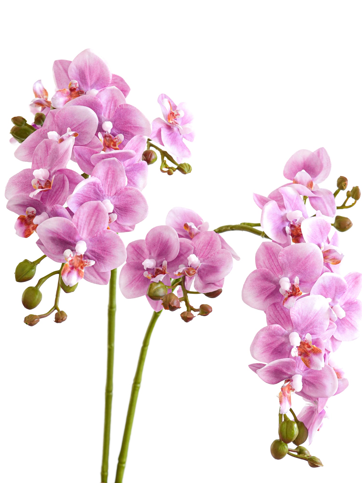 Real Touch Lavender Artificial Phalaenopsis Orchid  -27.5"