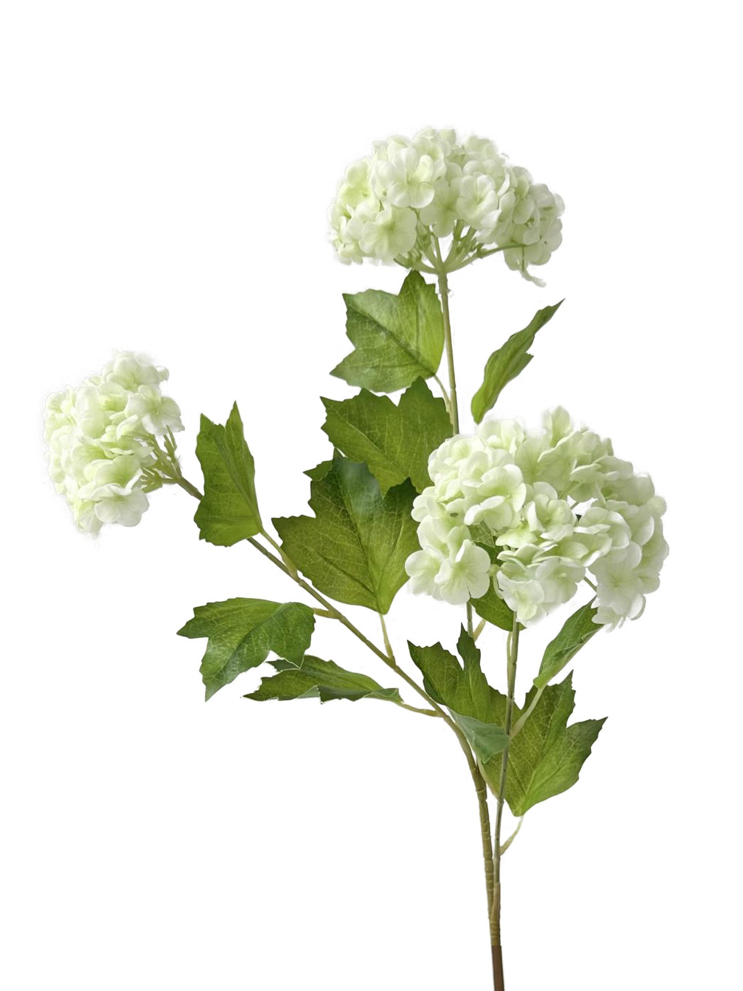 Artificial Viburnum macrocephalum flowers with a real touch- 26.4"