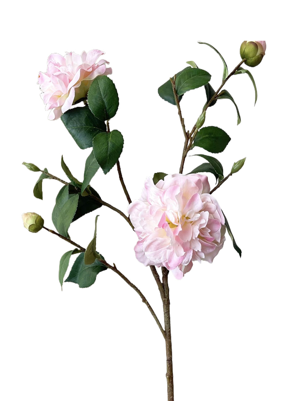 Faux Camellia Flowers -22.8"