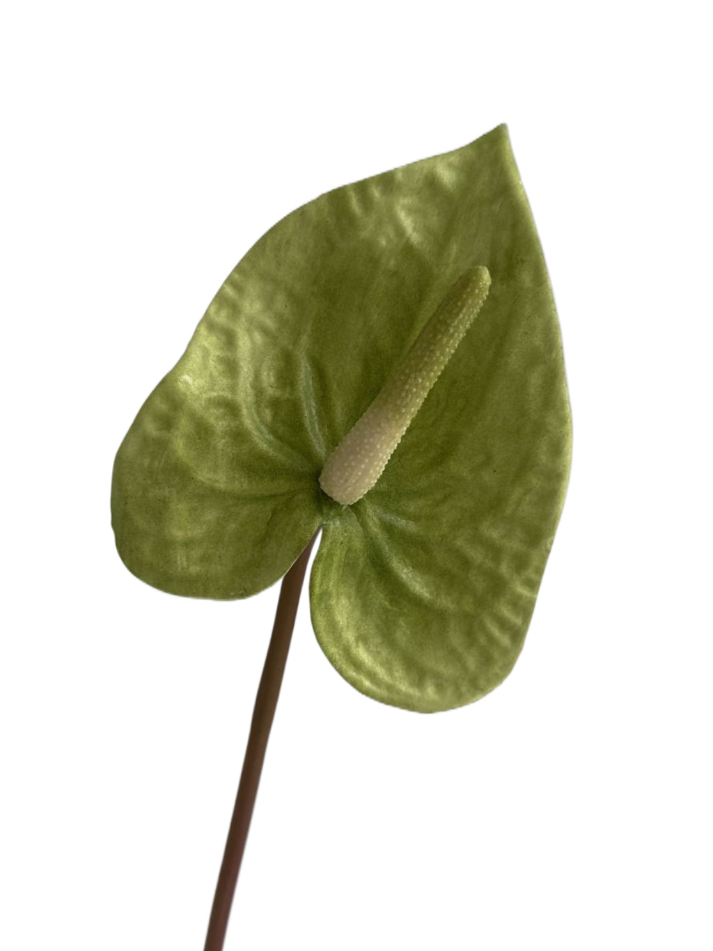 Luxurious Quality Artificial Tropical Anthurium- 23.6"
