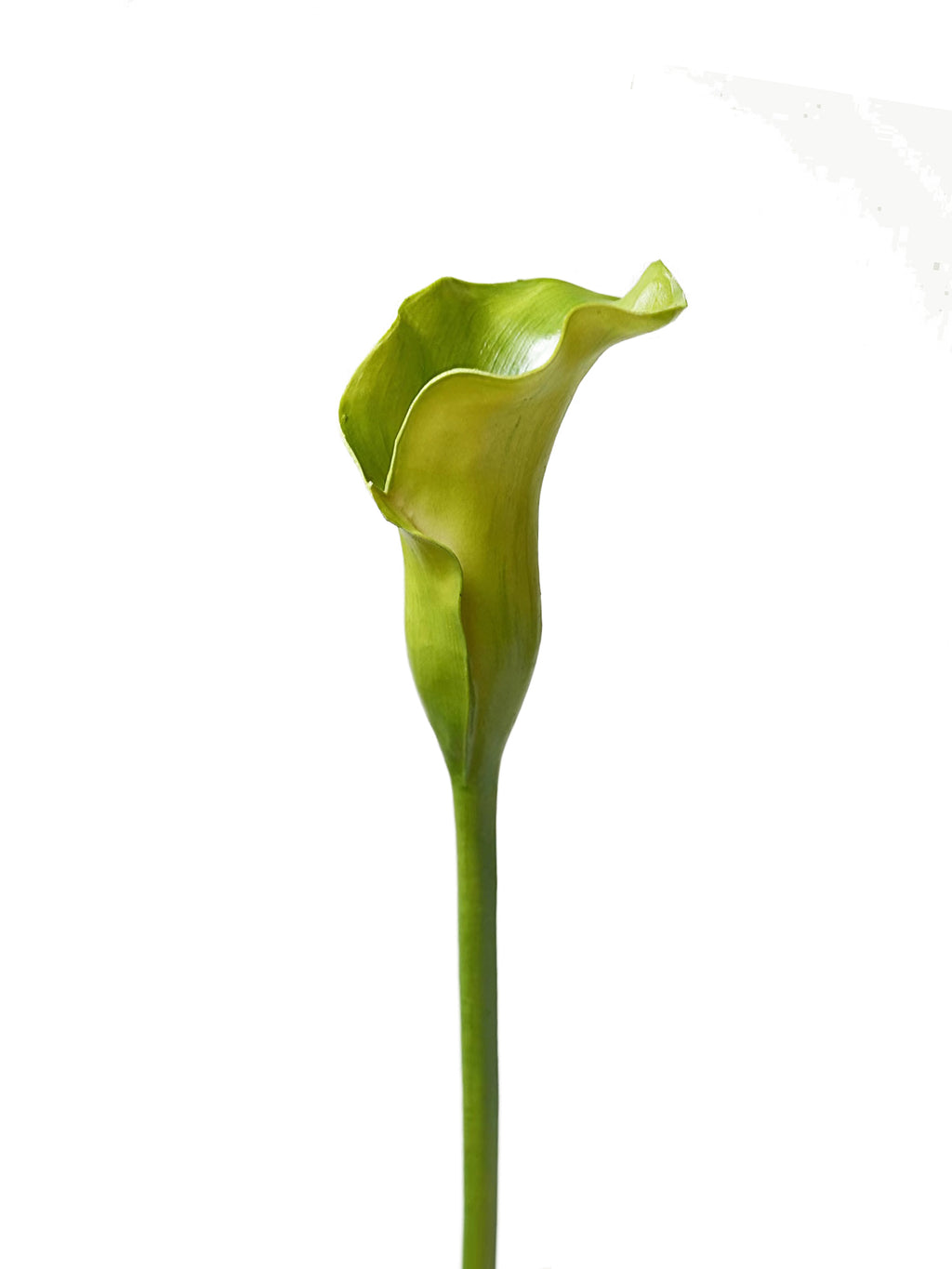 Luxurious artificial calla lilies- 29.5"