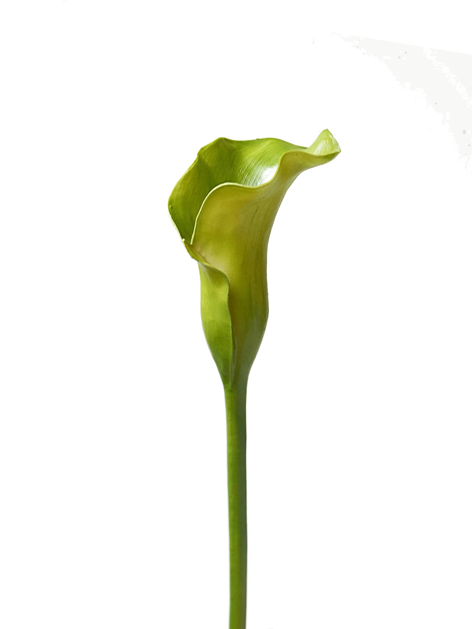 Luxurious artificial calla lilies- 29.5"