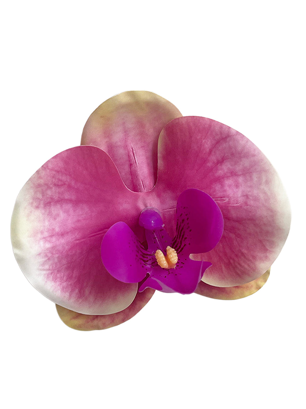 Petals of the simulated Phalaenopsis orchid -3.3"