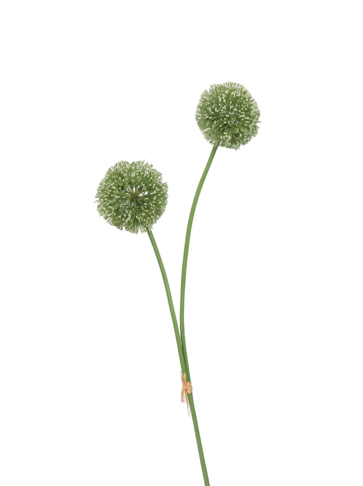 Faux Allium Stem - 22.8"