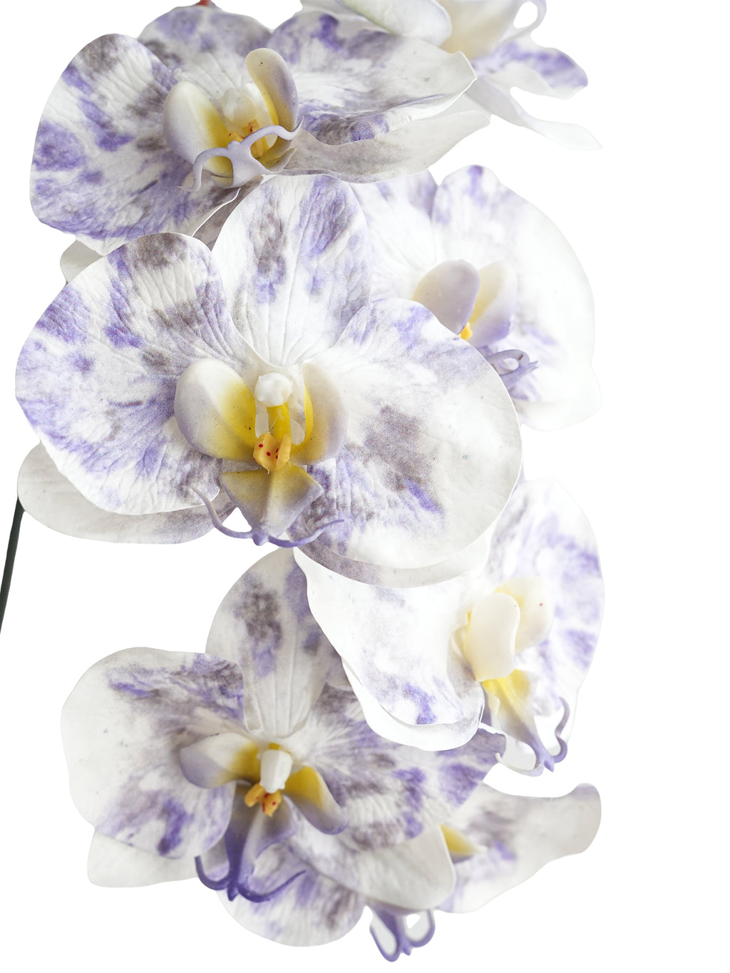 Artificial Phalaenopsis in Cream Color Palette-35"
