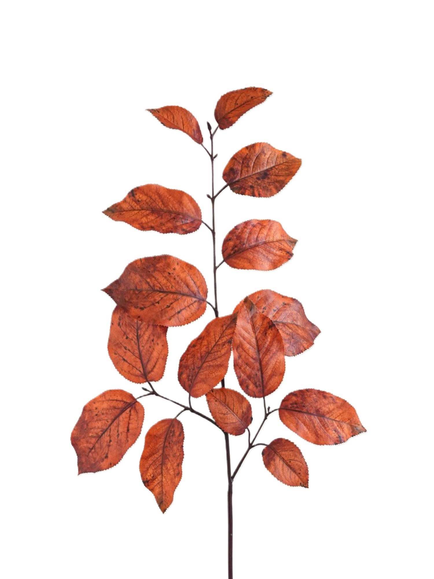 Retro Artificial Birch Leaves-29.7"