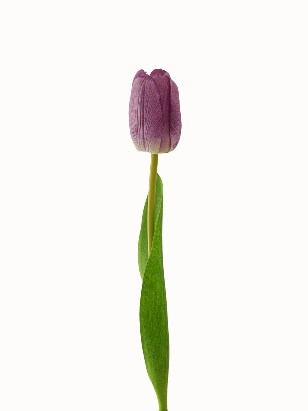 Real Touch Artificial Flowers Fake Tulips -18.8"