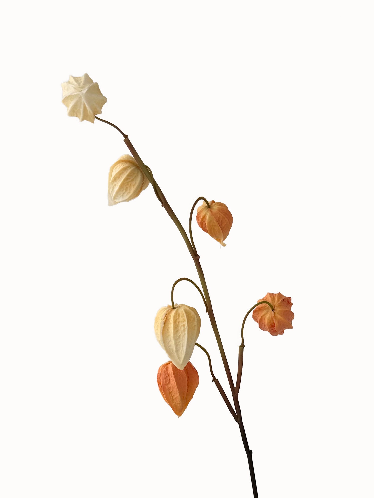 Simulated Ground Cherries Artificial Cape Gooseberry -27.9"