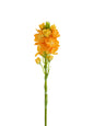 Artificial Sacred Heart Lily -21.6"