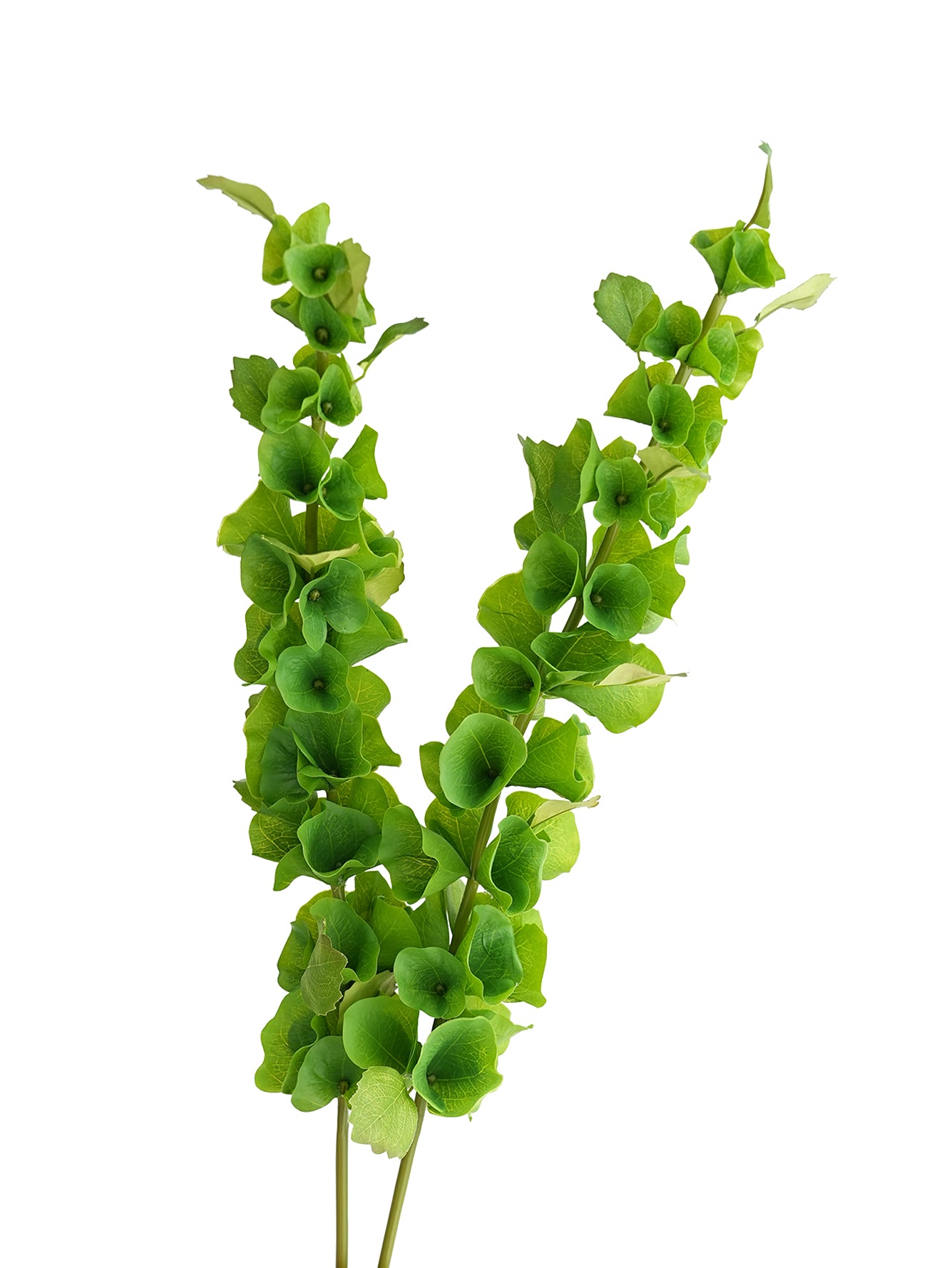 Large-sized artificial green plants with shell-shaped leaves - 37.4"