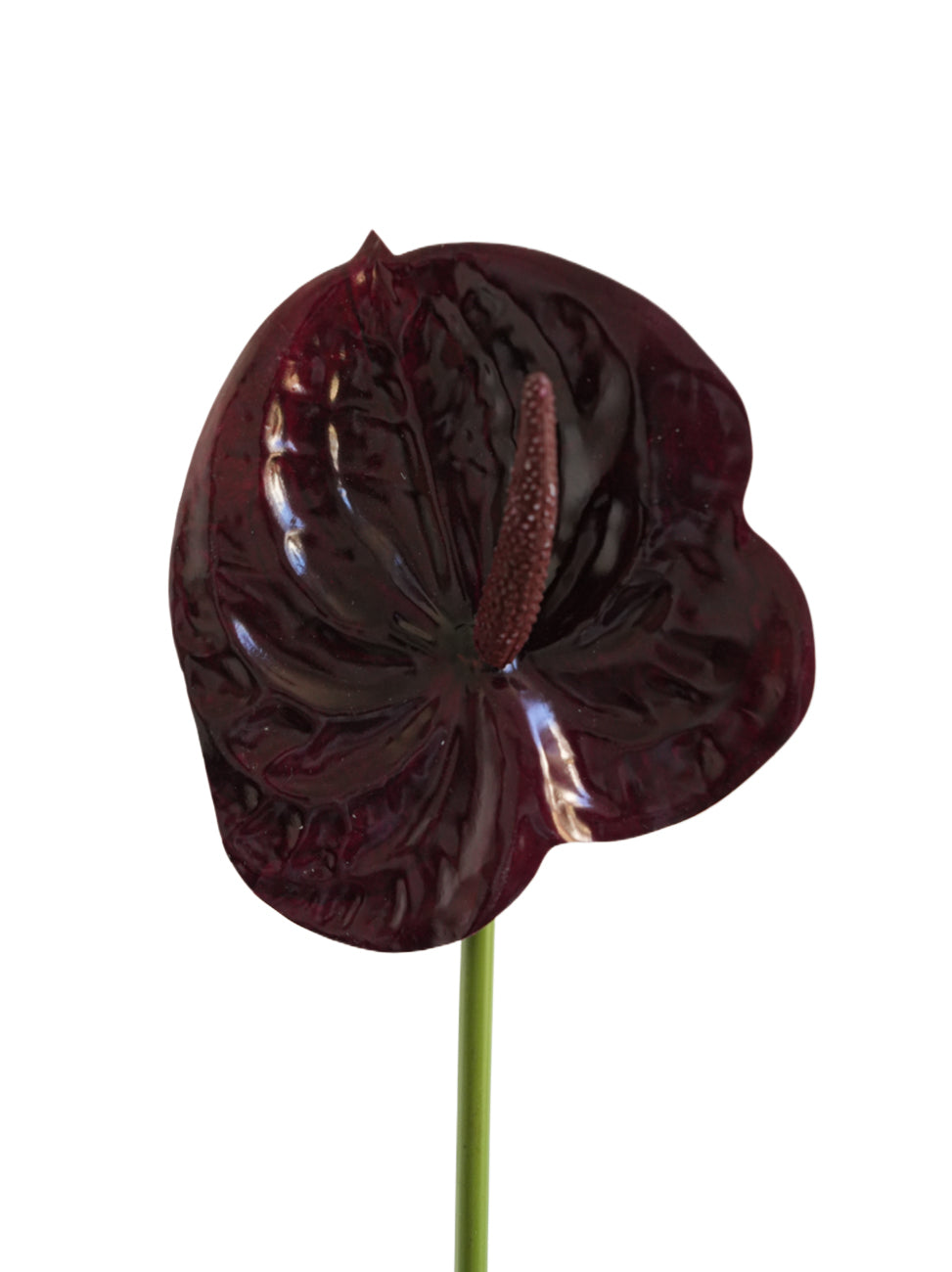 Small-sized artificial Anthurium flowers- 22.4"