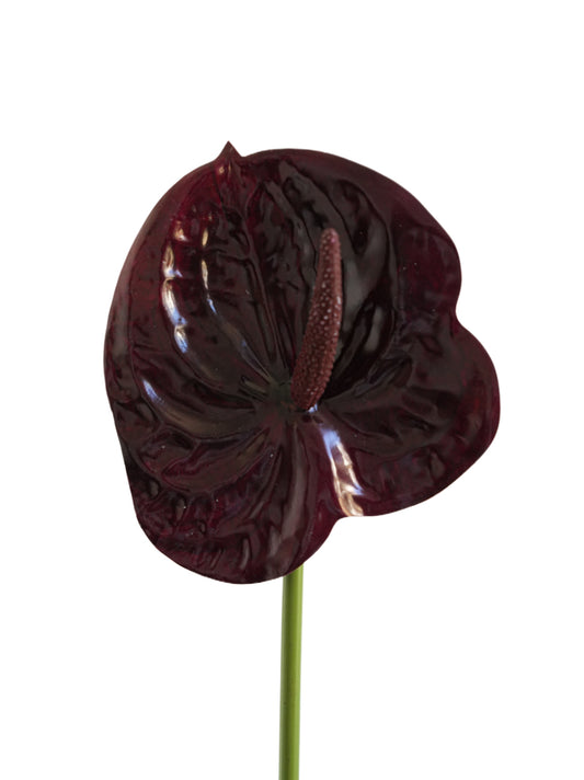 Small-sized artificial Anthurium flowers- 22.4"