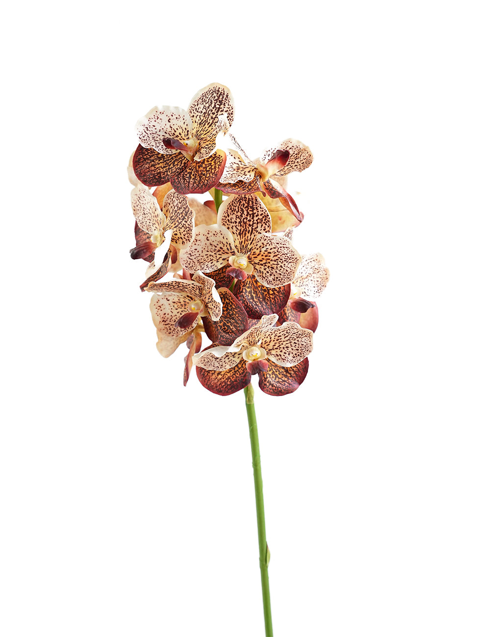 High-end Artificial Vanda Orchids -25.5"