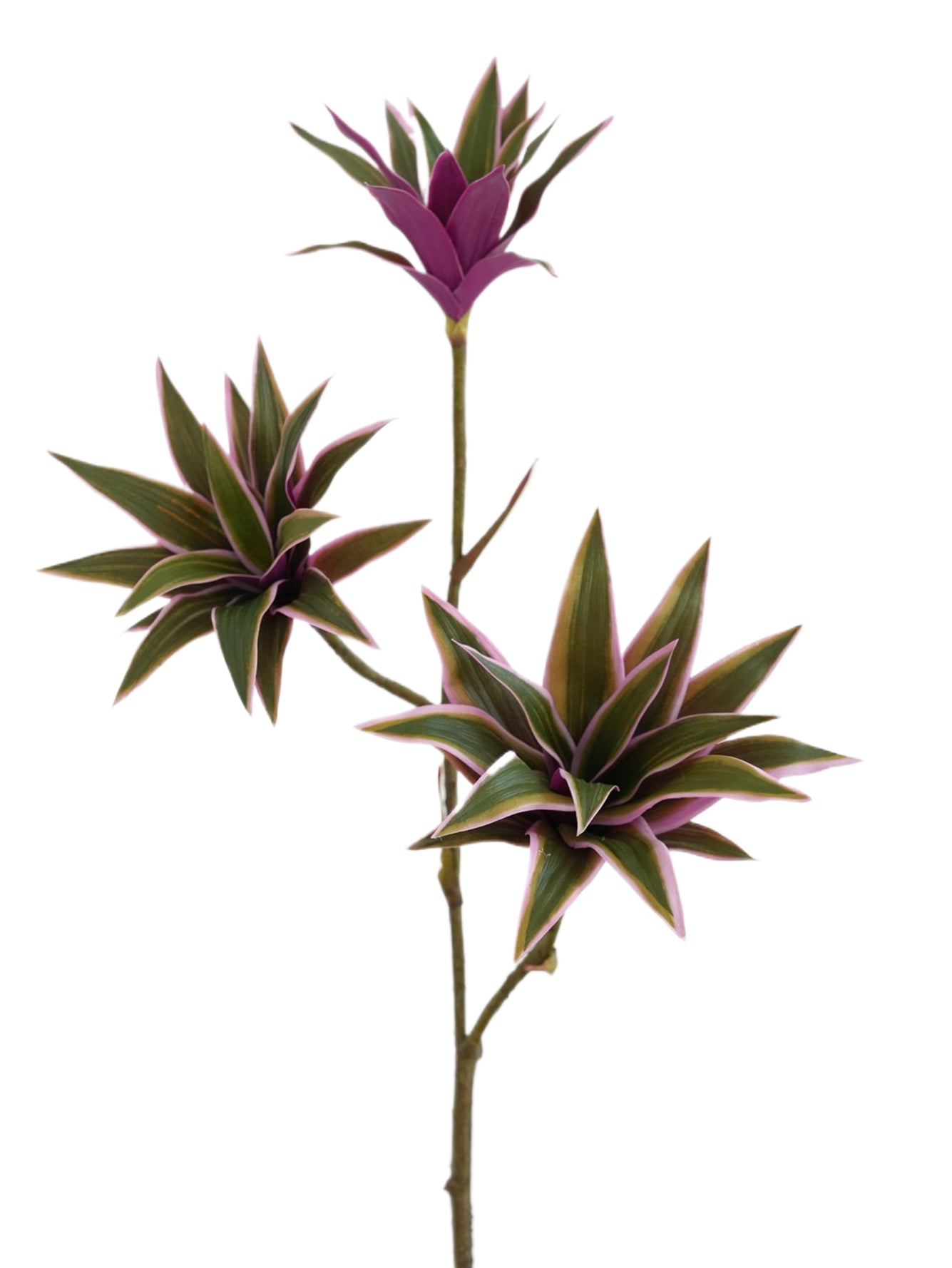 Artificial foliage green plants of Dracaena reflexa - 32.2"