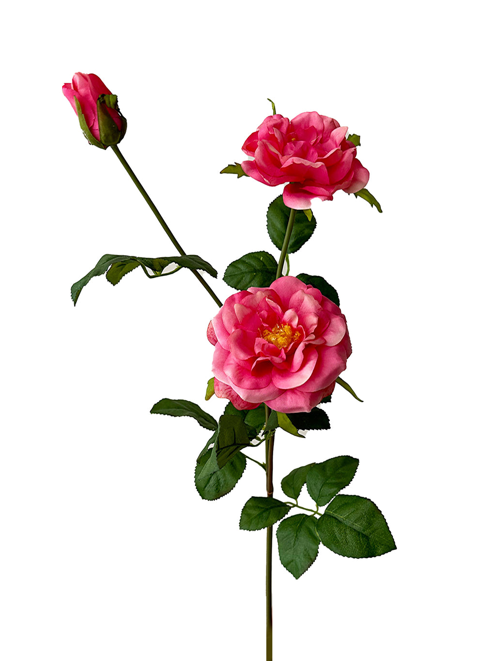Artificial Rosa chinensis  -24.8"