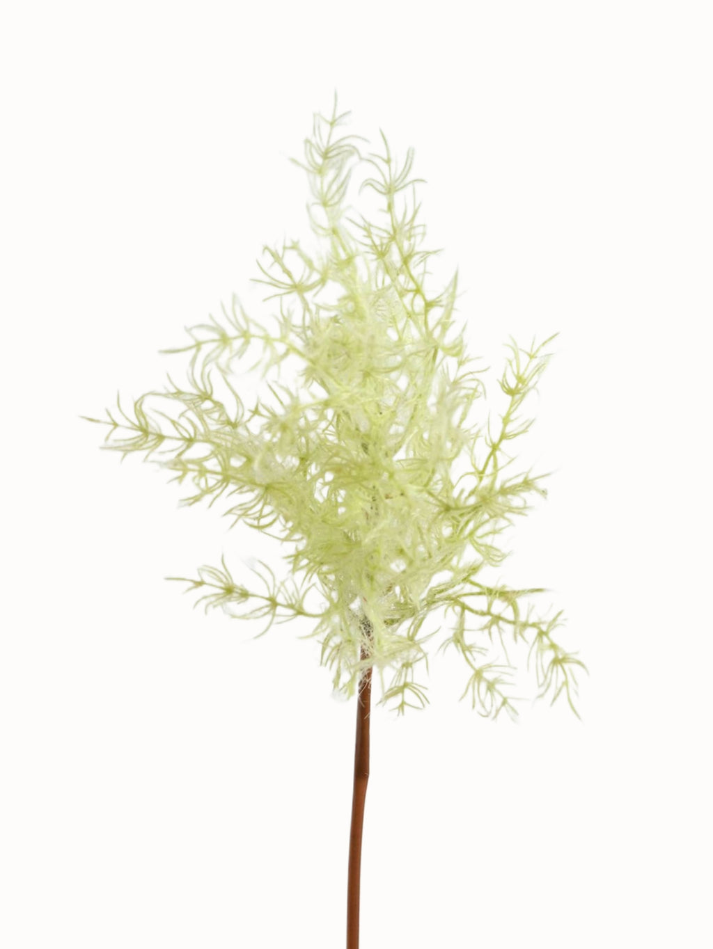 Fake Cotinus coggygria Artificial Smoketree Branch-26.7"