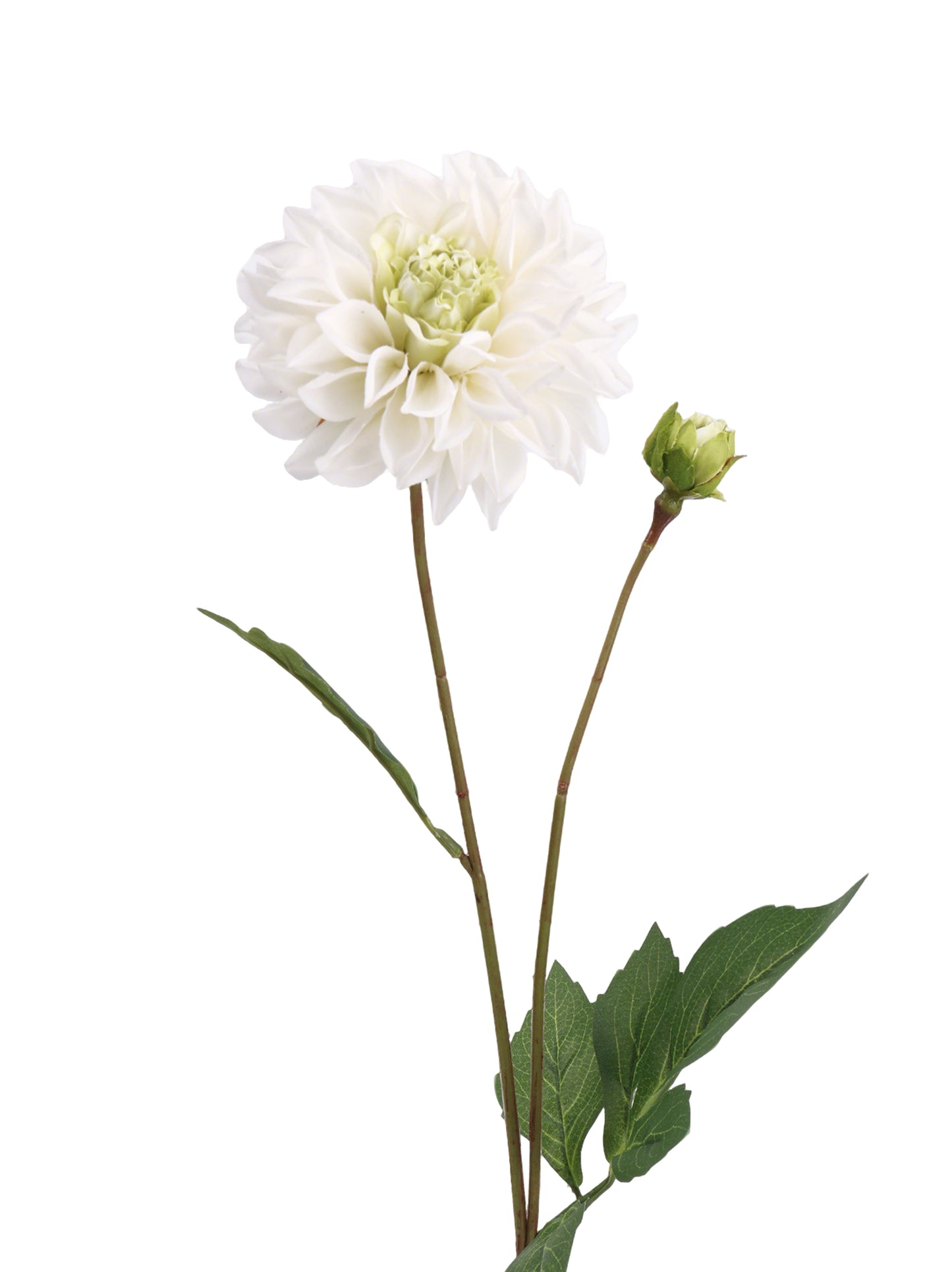Faux Dahlia Spray With Buds - 22.8"