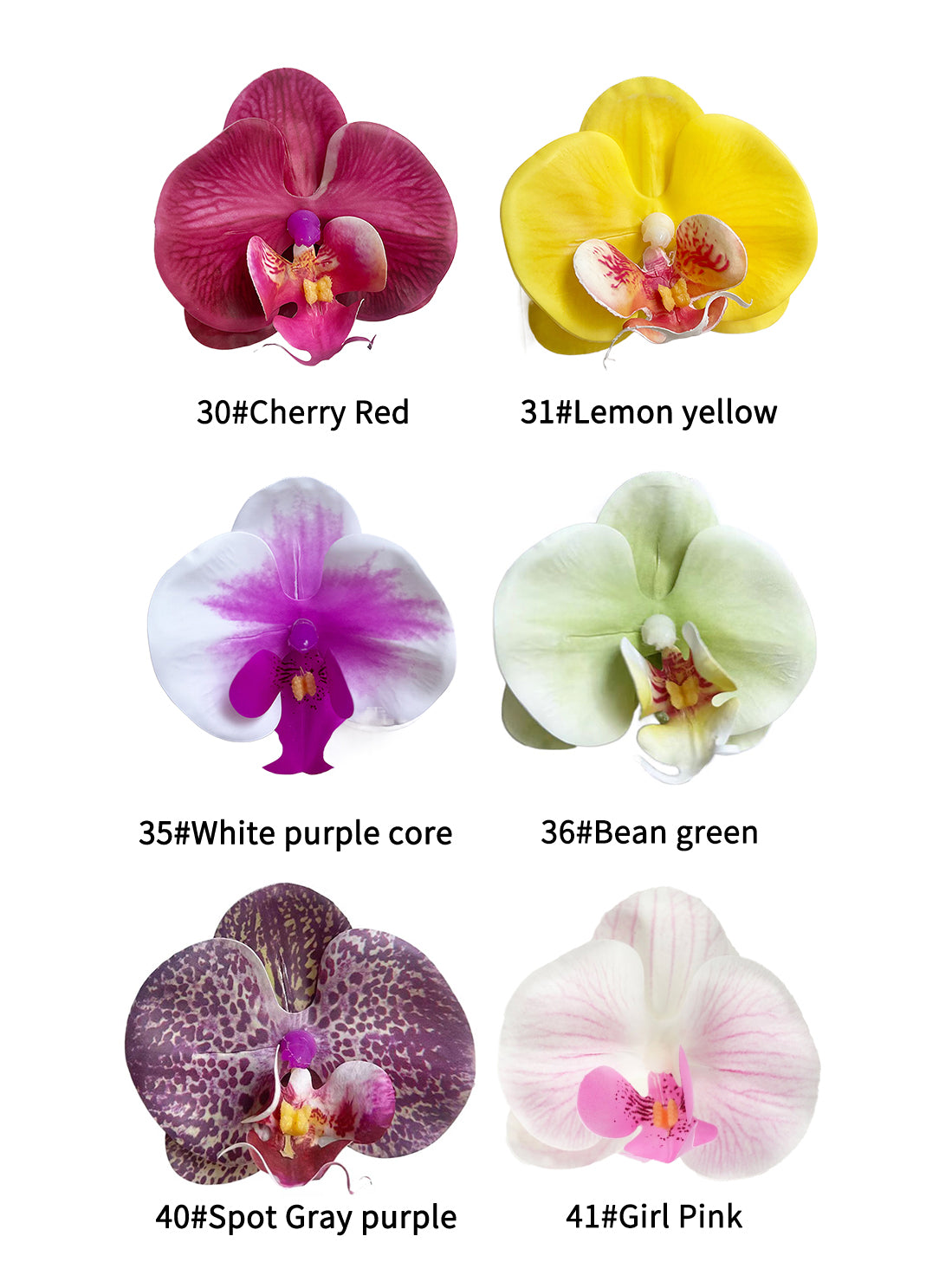 Petals of the simulated Phalaenopsis orchid -3.3"