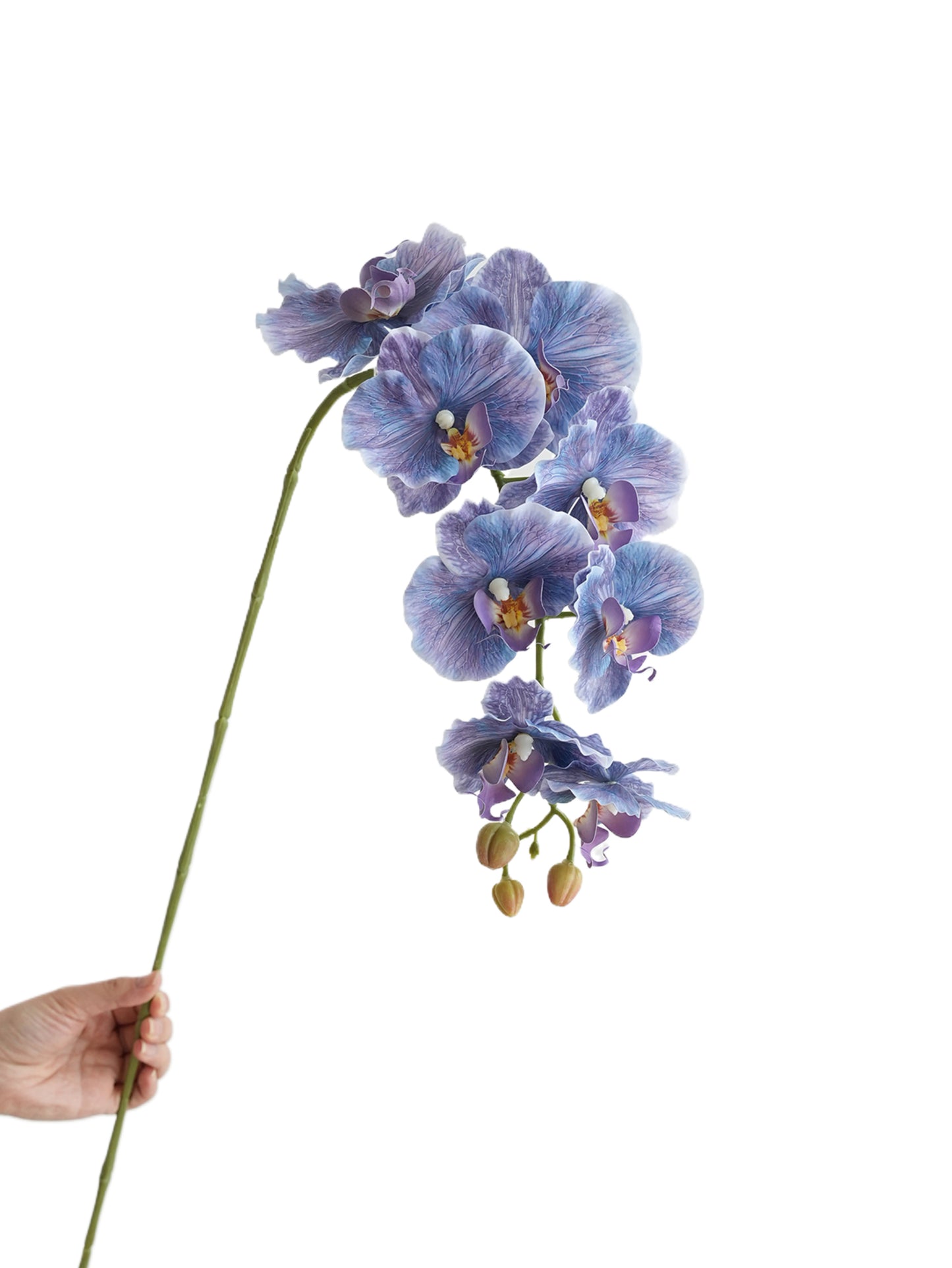 Colorful Artificial Phalaenopsis Orchids-38.5"