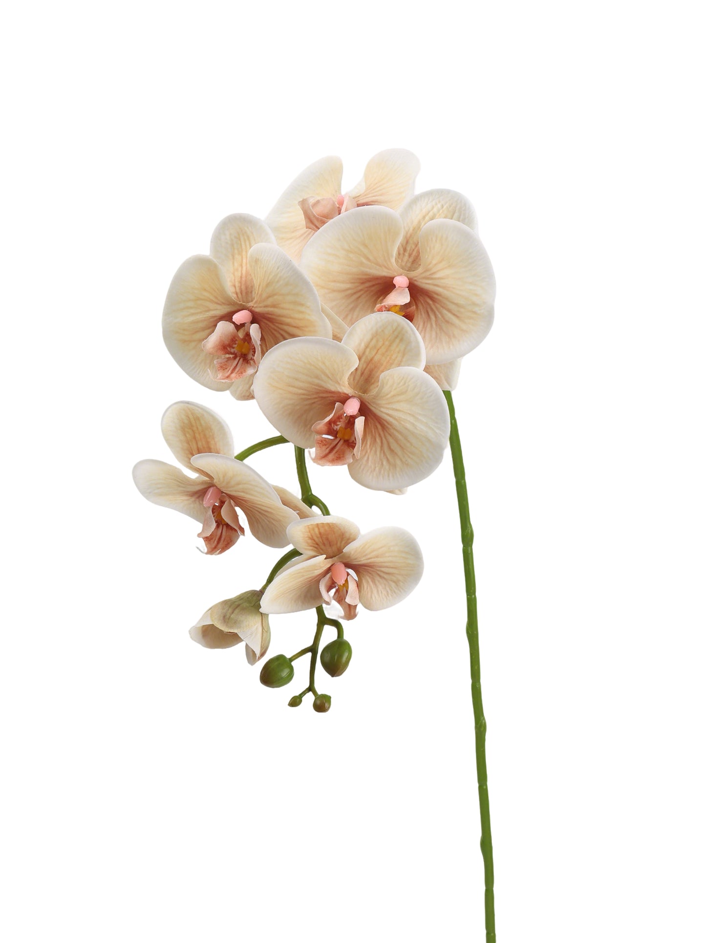 Real-Touch Faux Phalaenopsis Orchid Spray - 37.4"