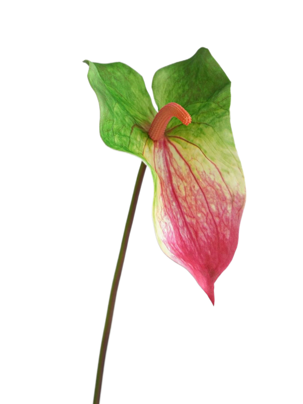 High-end Large-sized Artificial Green Anthurium Flowers- 26.7"