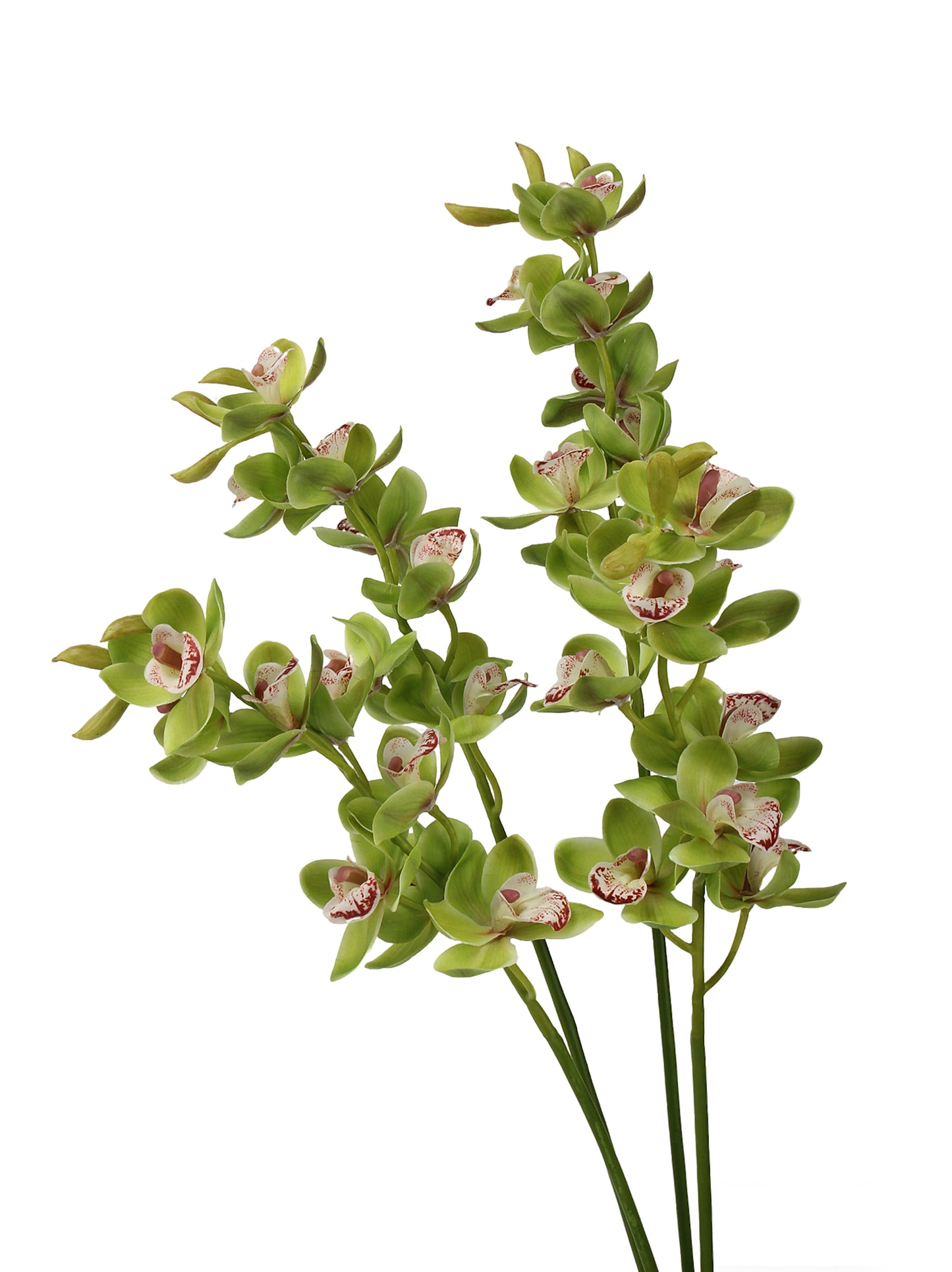 Real-Touch Faux Orchid Stem - 27.56"