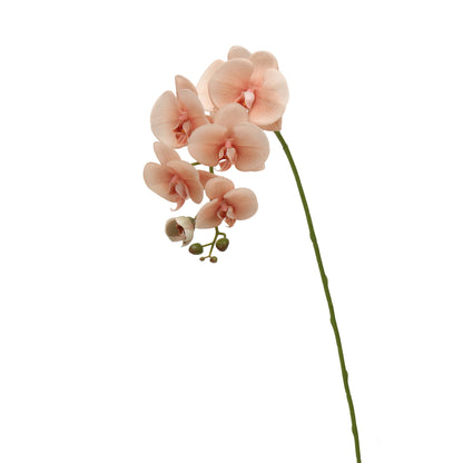 Real-Touch Faux Phalaenopsis Orchid Spray - 37.4"