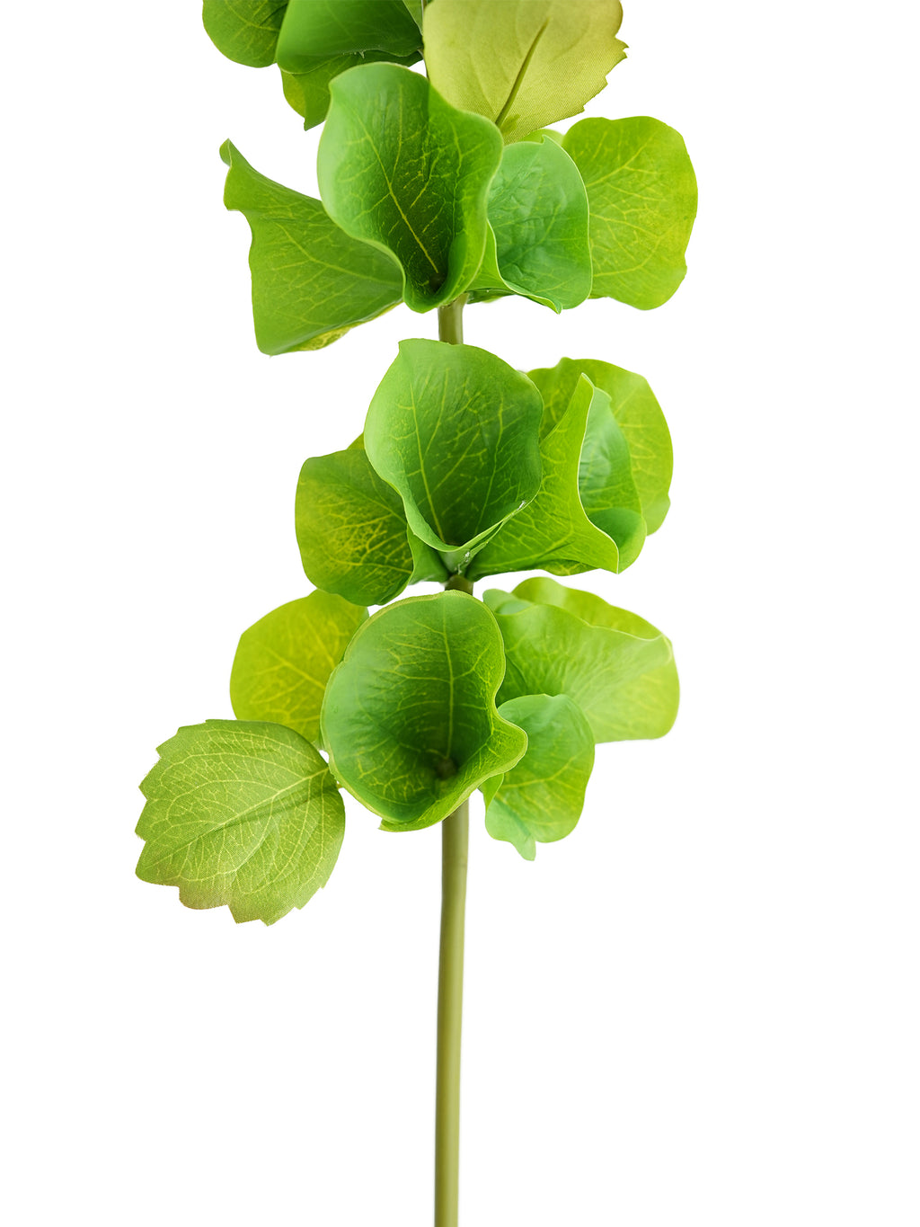 Small-sized artificial green plants with shell-shaped leaves - 28.7"