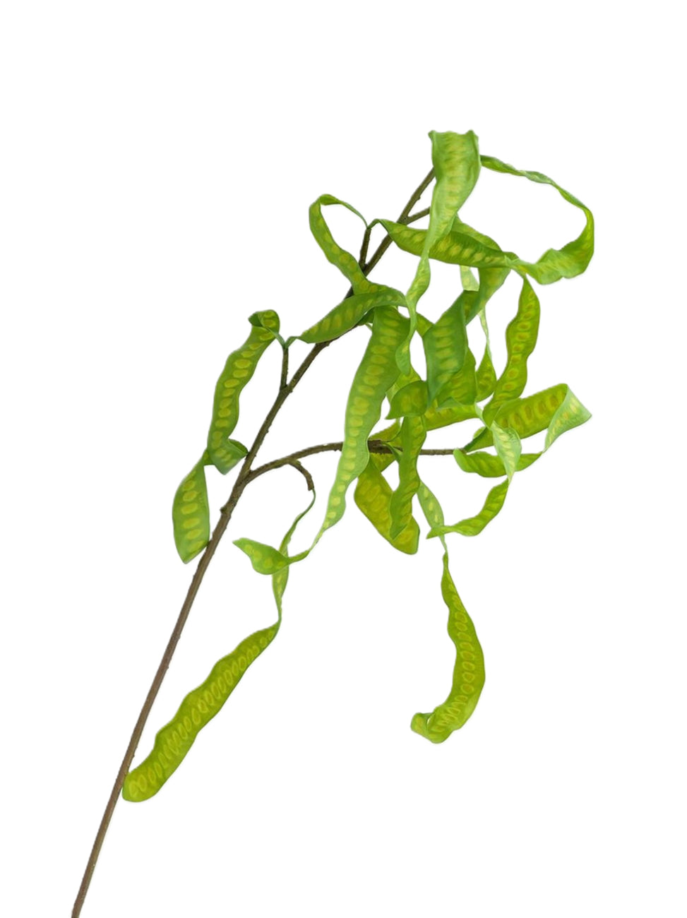 Artificial flowers of pea pods - 27.9"