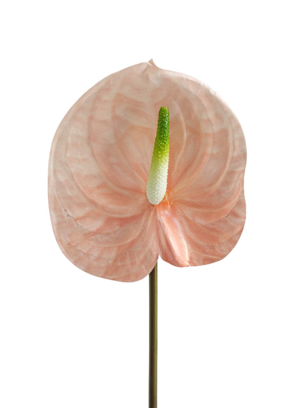 Large-sized artificial Anthurium flowers-26.3 "