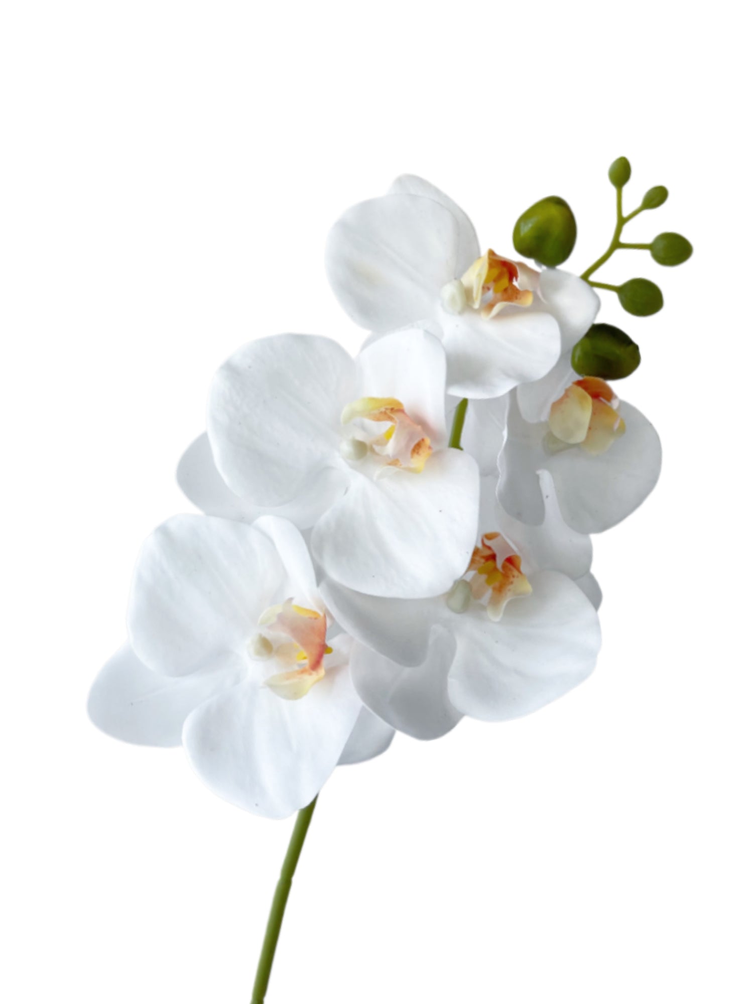 Artificial Phalaenopsis Orchids with a Realistic Touch -18.1"