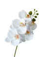 Artificial Phalaenopsis Orchids with a Realistic Touch -18.1"