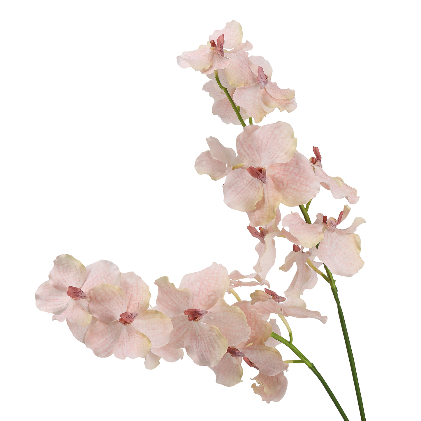 High‑Quality Real‑Touch Artificial Vanda Multi‑Blossom Stem‑33.8"