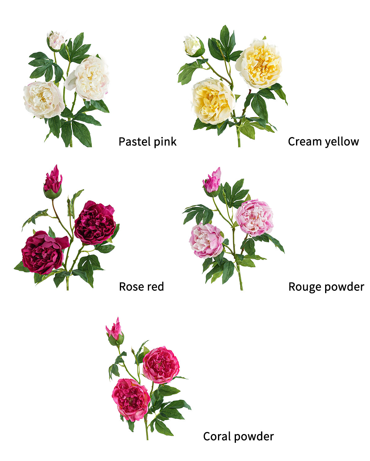 Cream Colors Faux Real Touch Peony Flower -31.8"