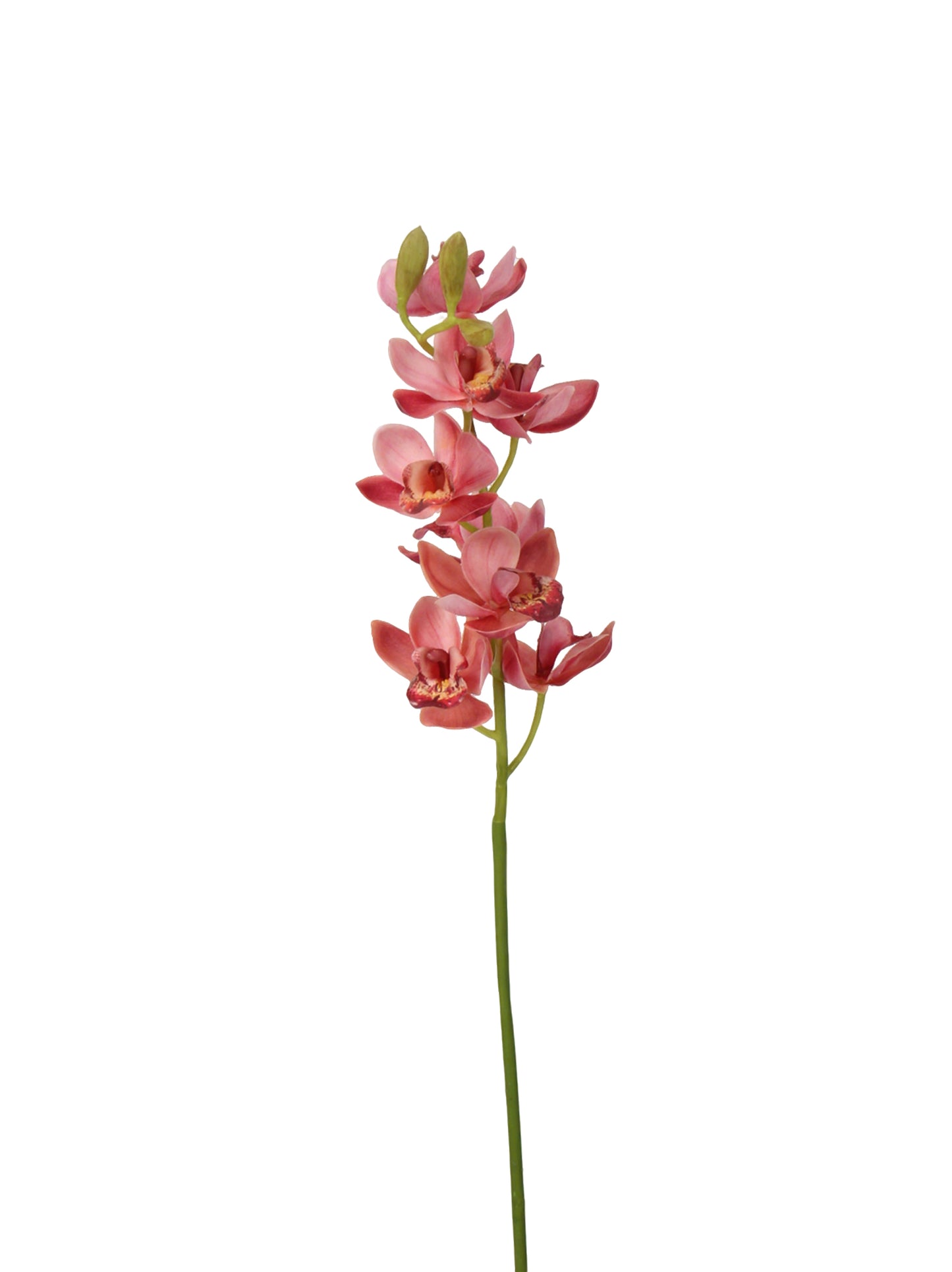 Real-Touch Faux Orchid Stem - 27.56"