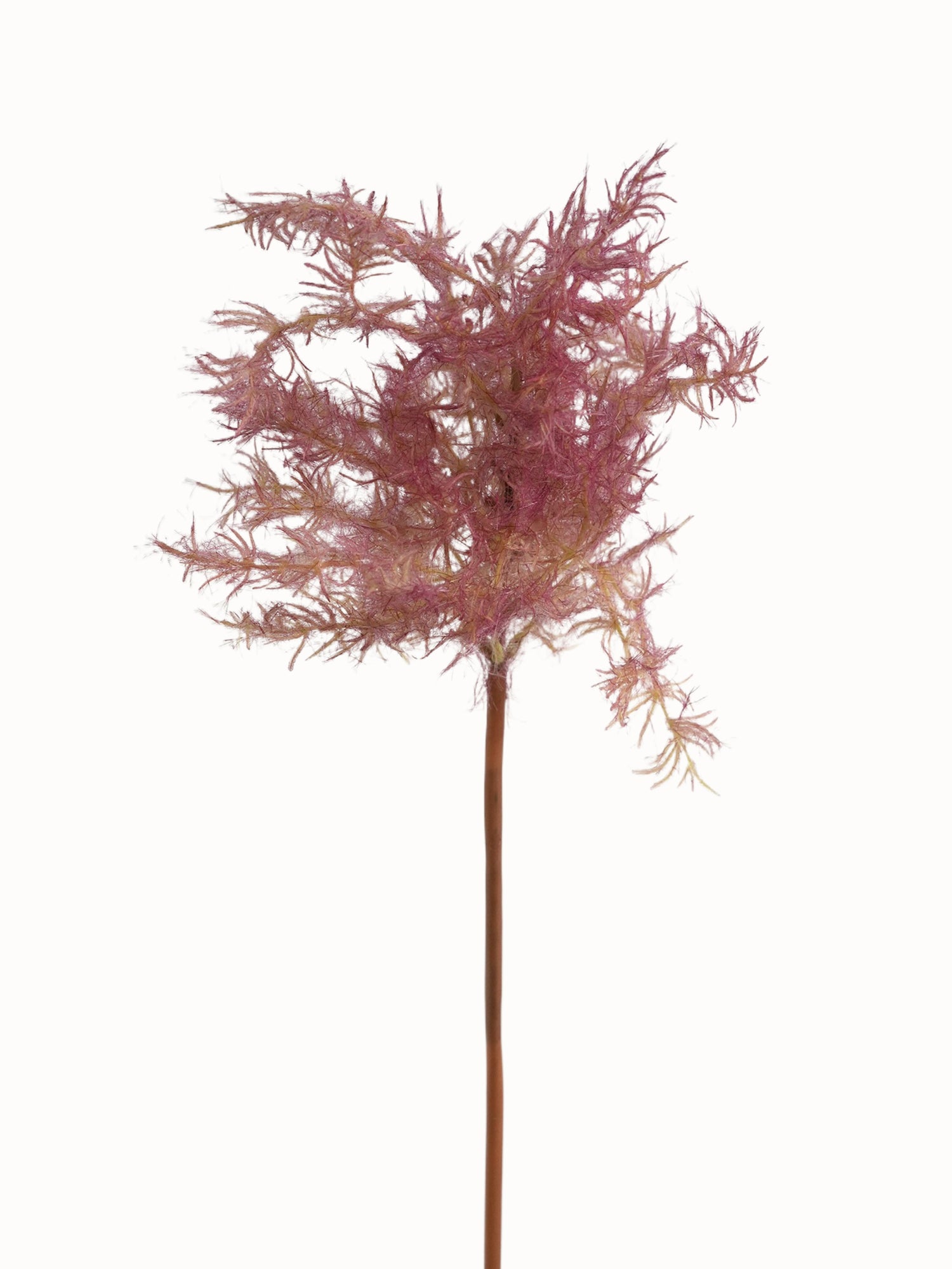 Fake Cotinus coggygria Artificial Smoketree Branch-26.7"