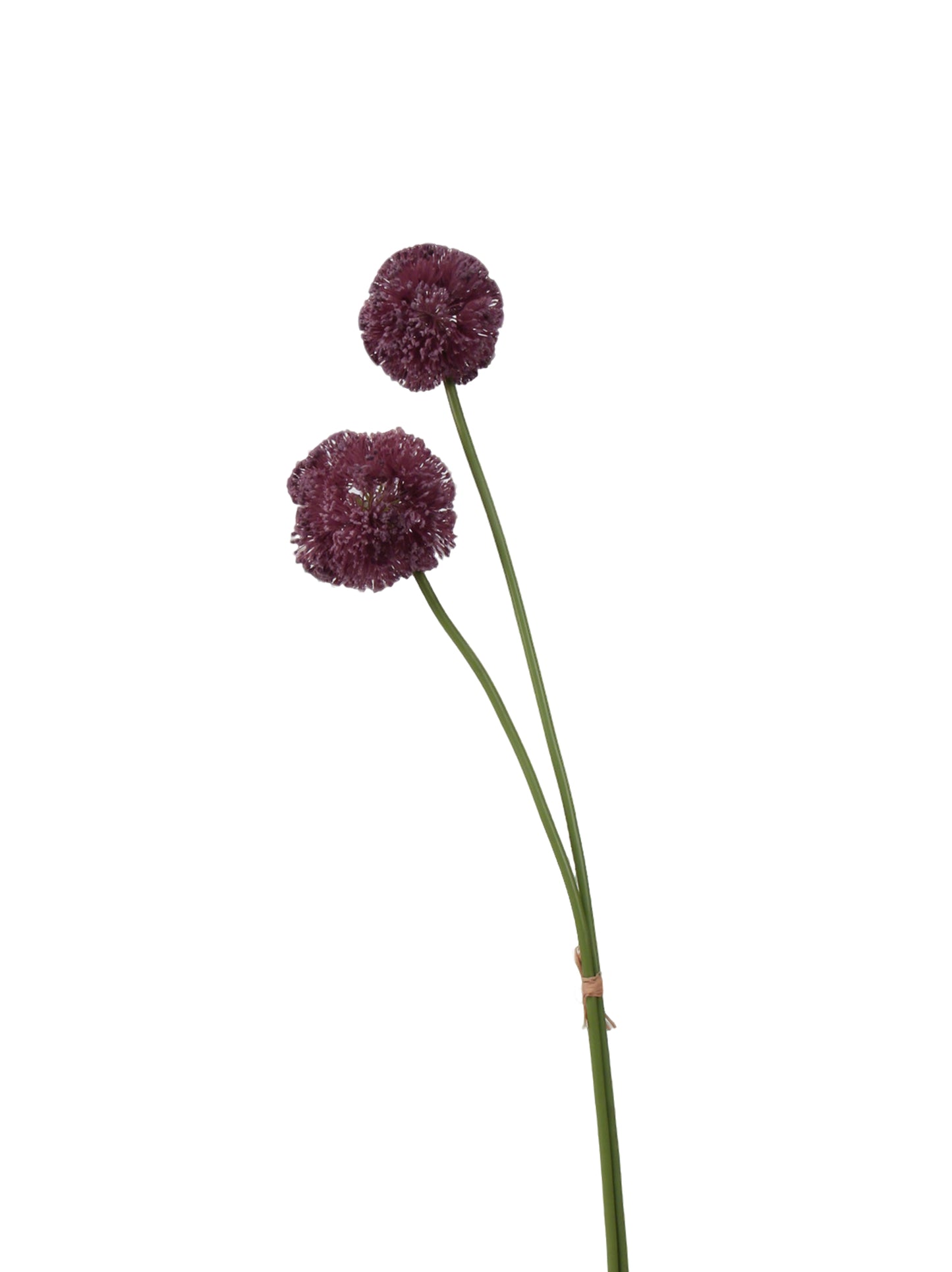 Faux Allium Stem - 22.8"