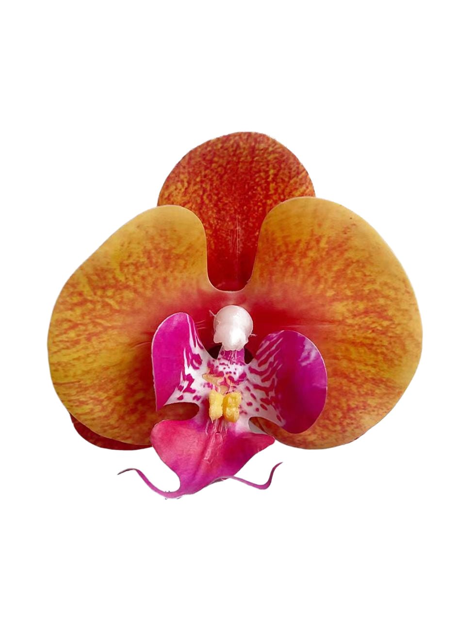 Petals of the simulated Phalaenopsis orchid -3.3"
