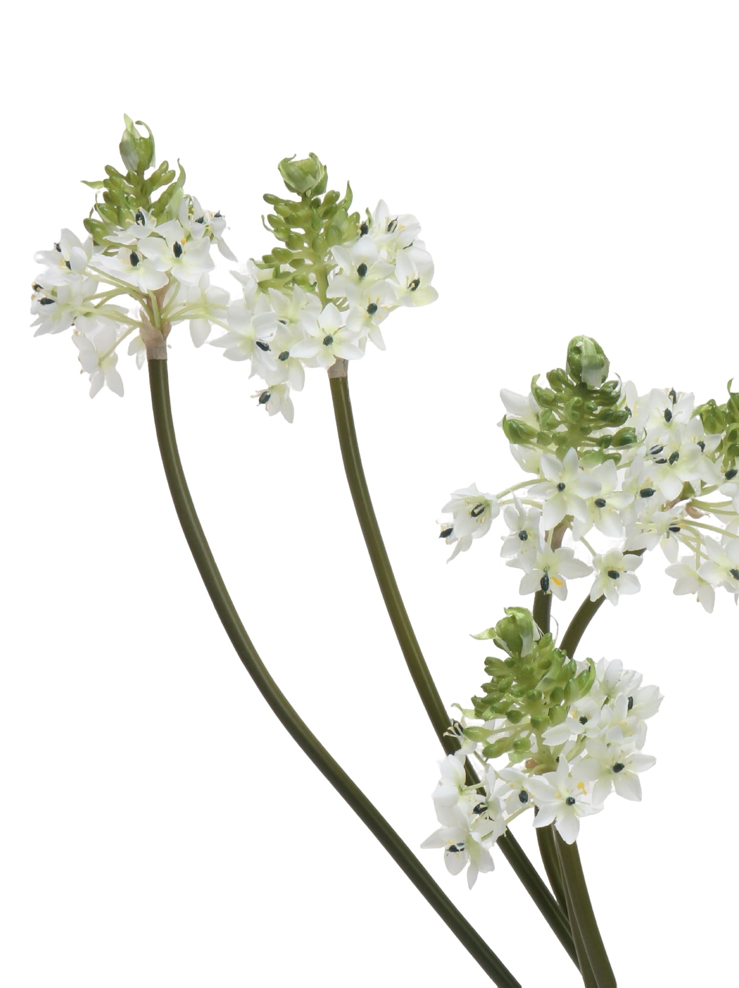 Faux Star of Bethlehem Stem - 33.5"