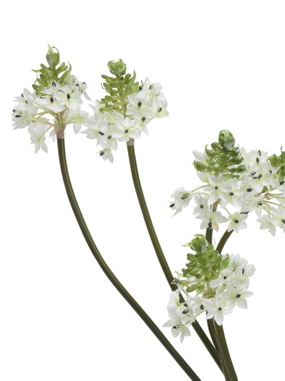 Faux Star of Bethlehem Stem - 33.5"