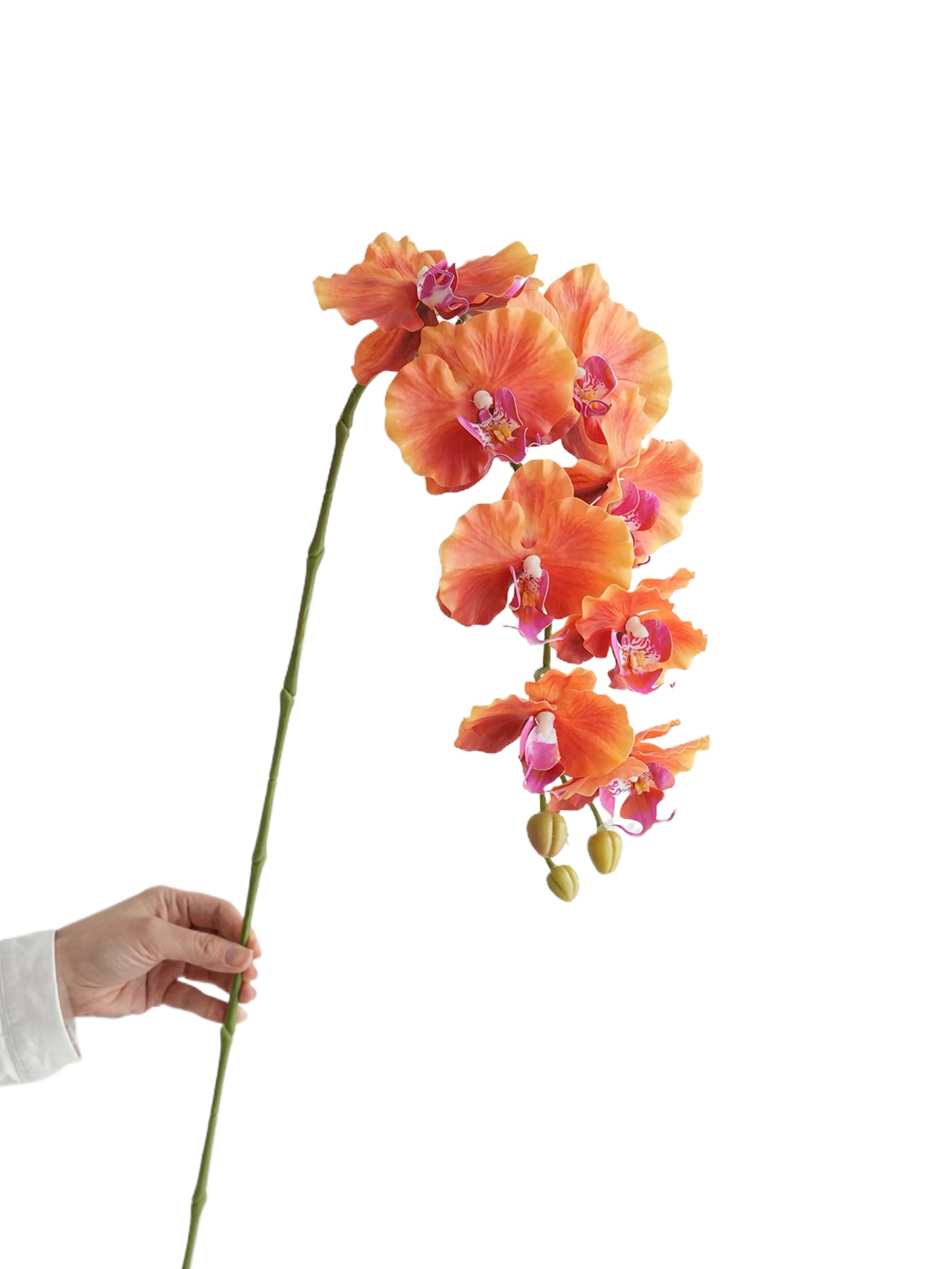 Colorful Artificial Phalaenopsis Orchids-38.5"