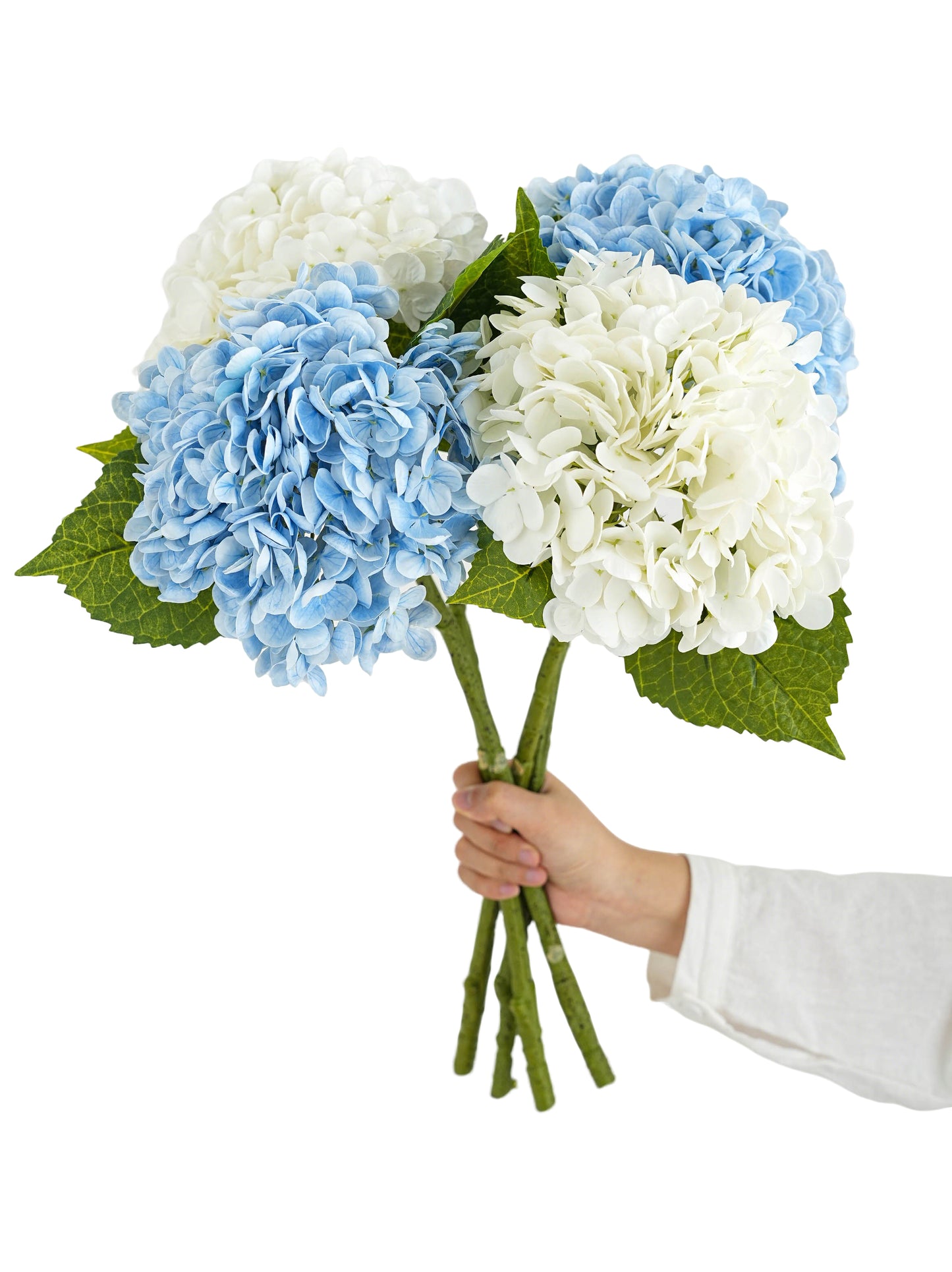 Hydrangeas with a Luxurious Touch - 19.29"