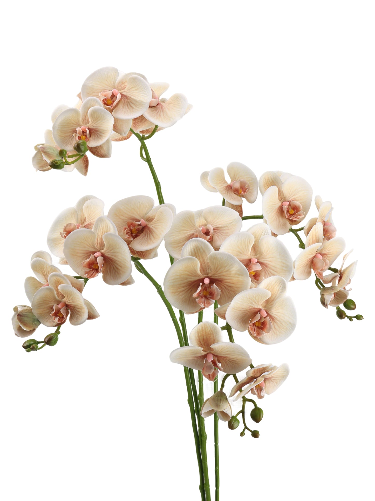 Real-Touch Faux Phalaenopsis Orchid Spray - 37.4"