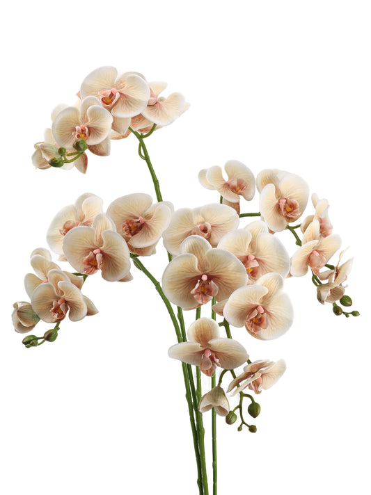Real-Touch Faux Phalaenopsis Orchid Spray - 37.4"