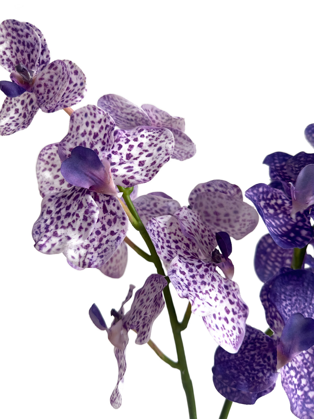 Artificial Vanda Orchid - 24"